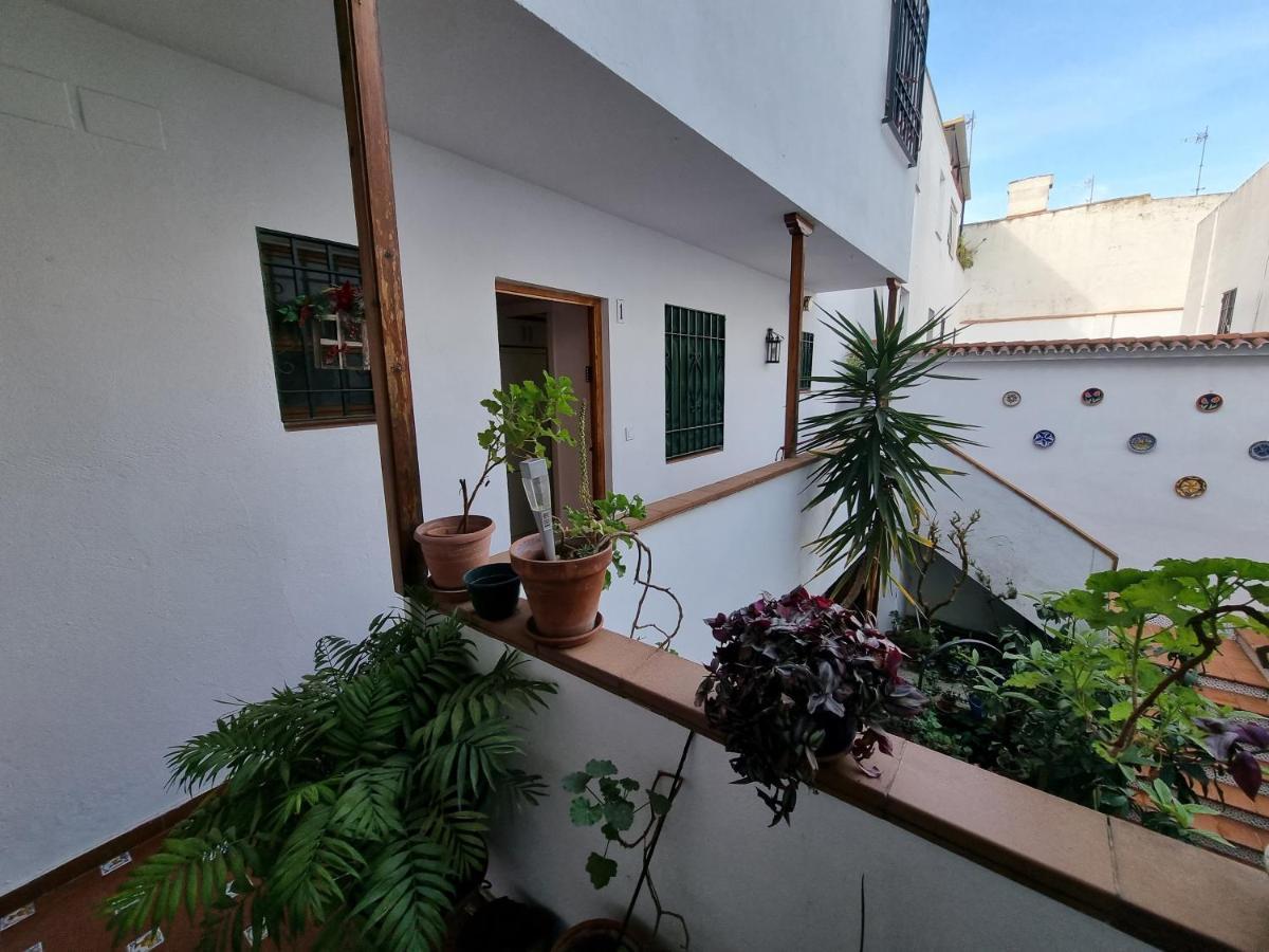 Apartamentos En Patio Cordobes San Basilio Cordoba Exterior photo